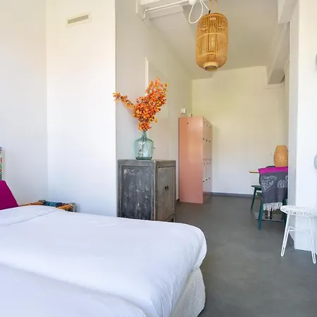 Pink Flamingo Boutique Albergue *