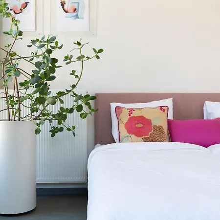 Pink Flamingo Boutique Hostel *