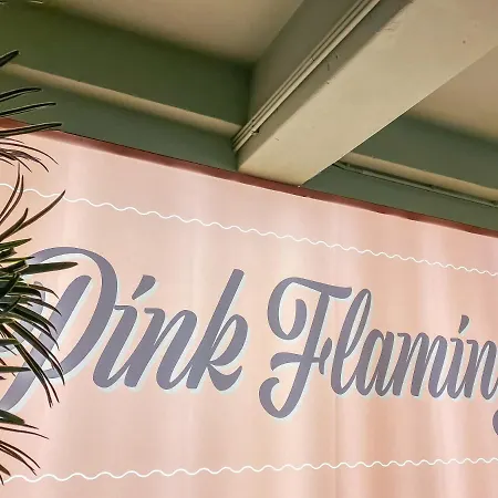 Pink Flamingo Boutique Hága