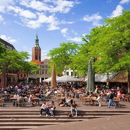 Hostel Pink Flamingo Boutique The Hague