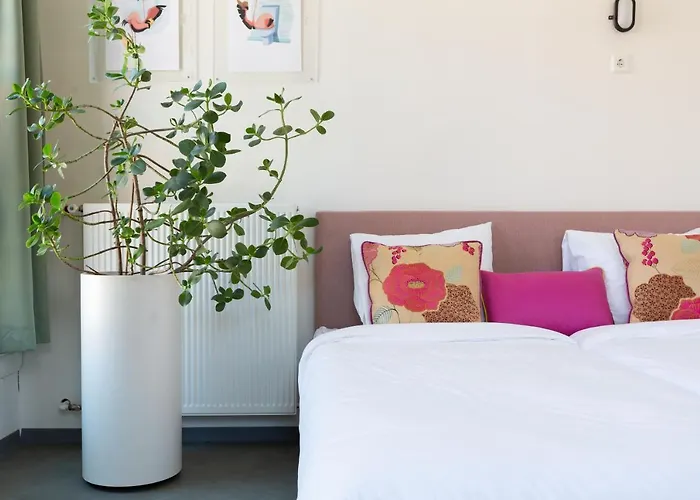 Pink Flamingo Boutique Hostel *