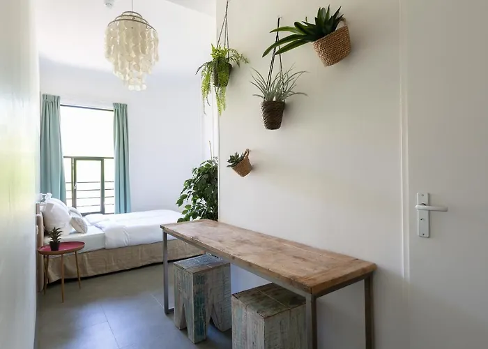 Ostello Pink Flamingo Boutique *